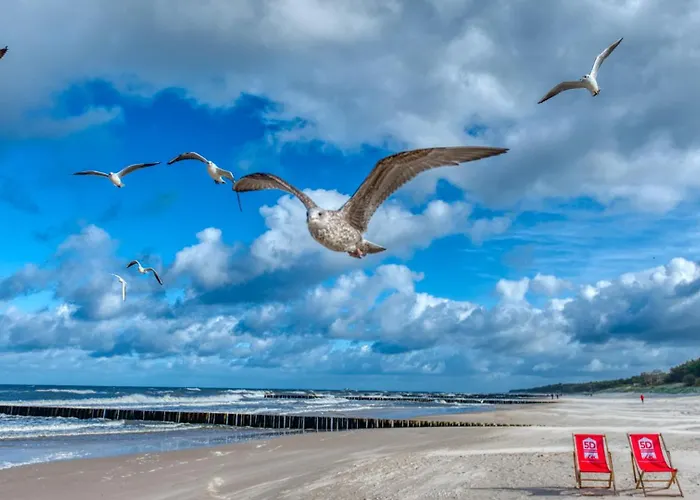 Appartement Morskie Widoki 313 Z Basenem I - 5d Niechorze